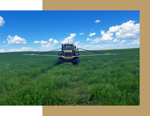 crop nutrition Eastern Montana
